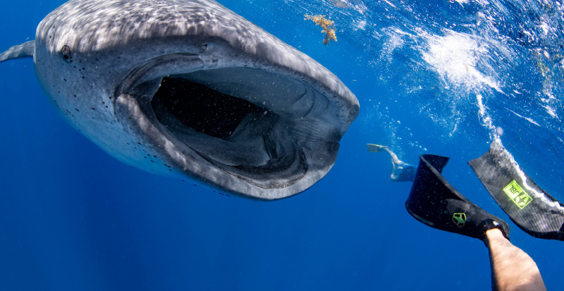 from Pursuit magazine EXPLORE.