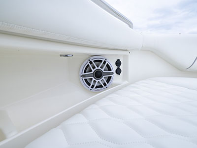 Speaker on a Pursuit Dual Console D 286.