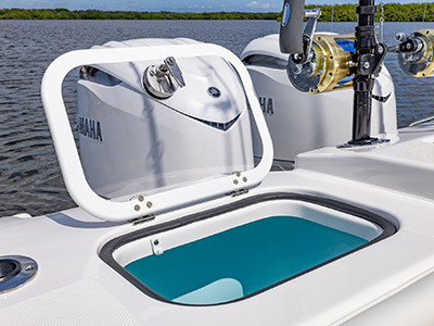 Oceanic blue livewell on transom of Pursuit Luxury Dual Console