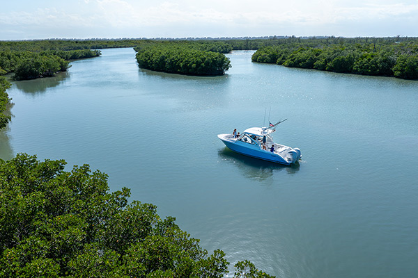 Aerial view of family fun on the Pursuit DC 286 Dual Console boat.