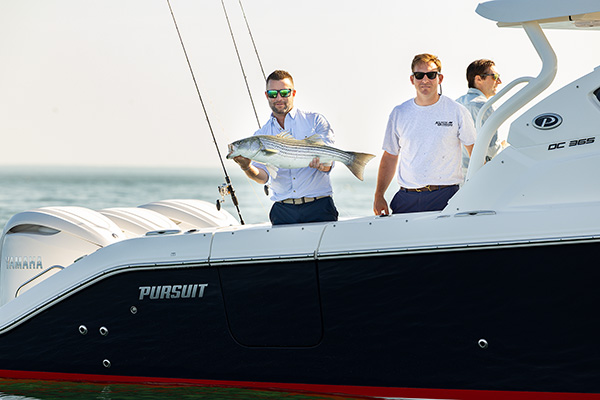 Three people are on board the Pursuit DC 365, one of whom is holding a striped bass.
