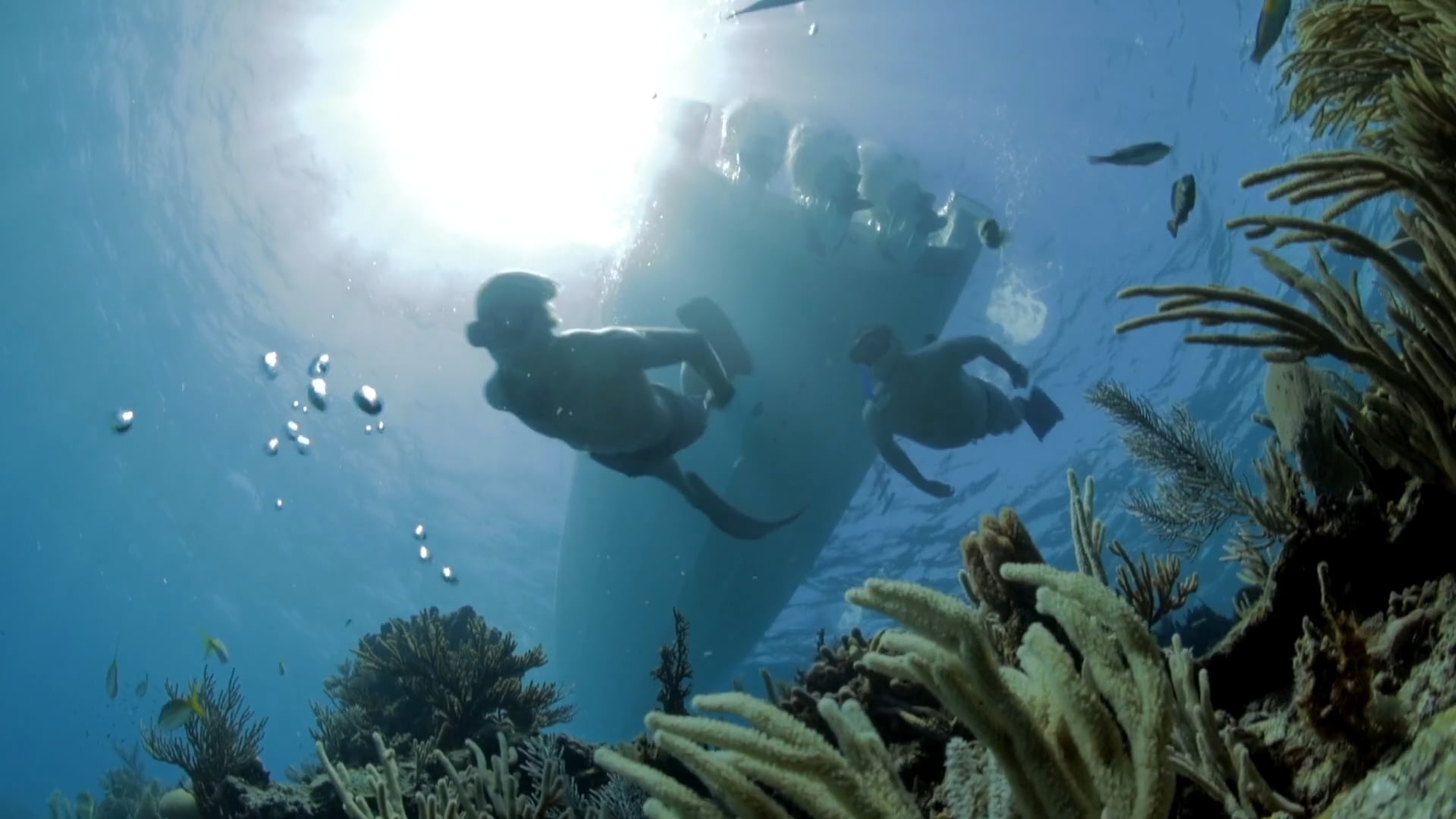 Underwater shot looking up at bottom of a Pursuit boat with 2 divers in foreground.